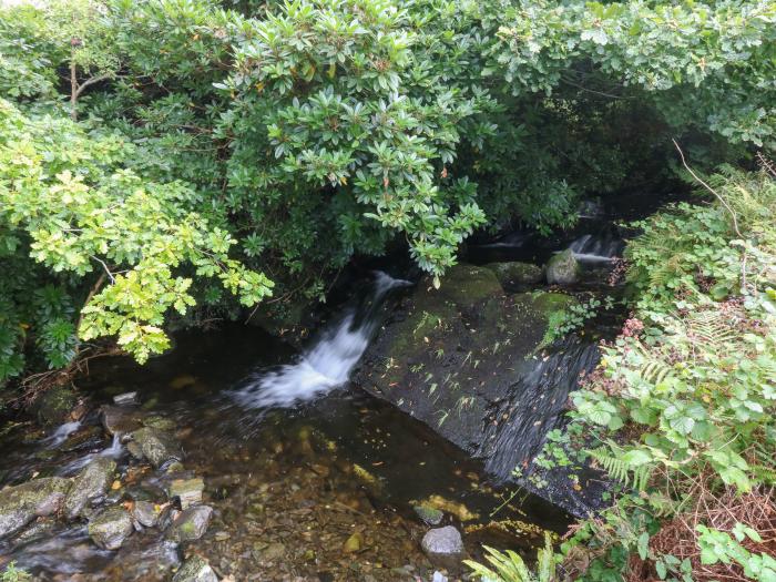 Tyn Llwyn, Eisingrug