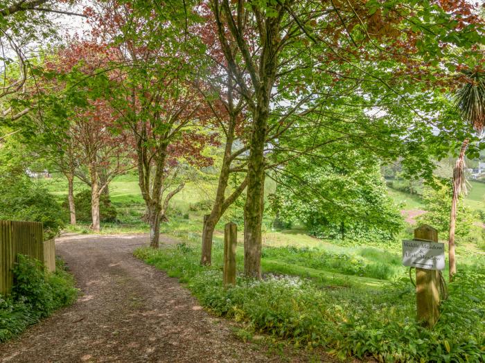 Middle Meadow, Dartmouth