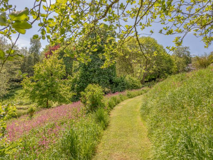 Middle Meadow, Dartmouth