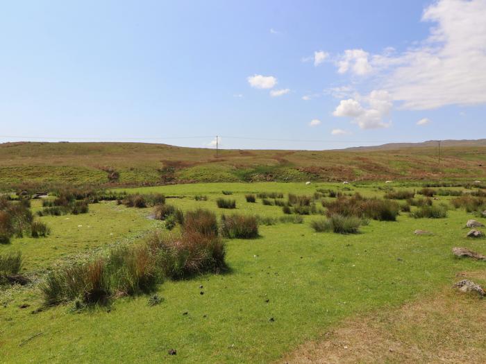 White House, Shap