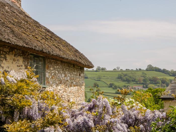 The Hayloft, Honiton