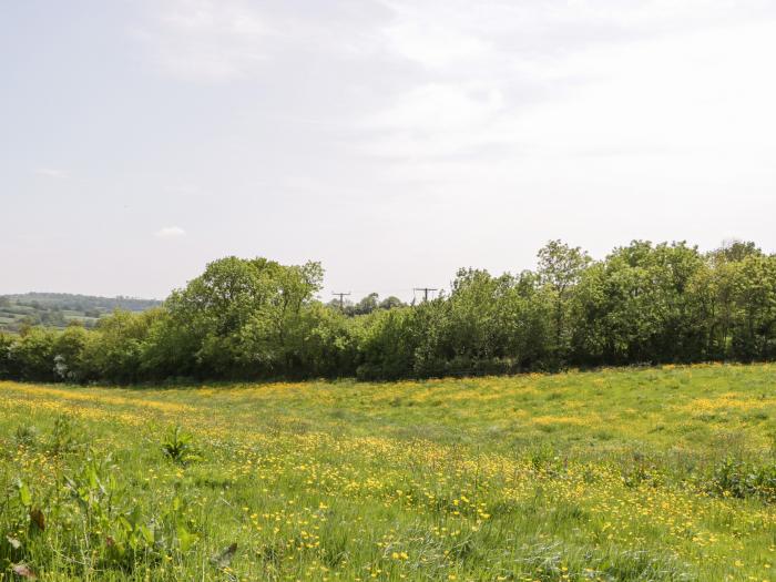 The Hayloft, Honiton