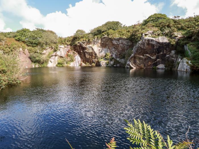 Branock, Tor Down Quarry, St Breward