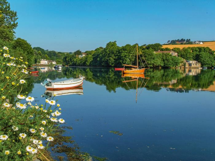 Welsummer, Salcombe