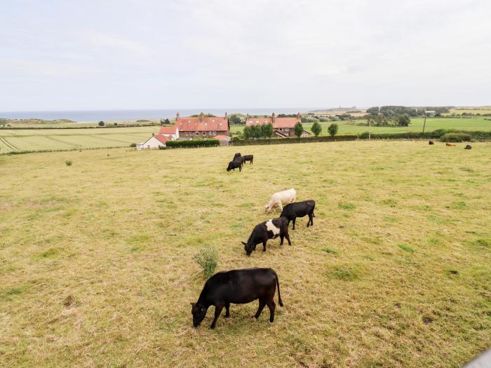 Links View, Embleton