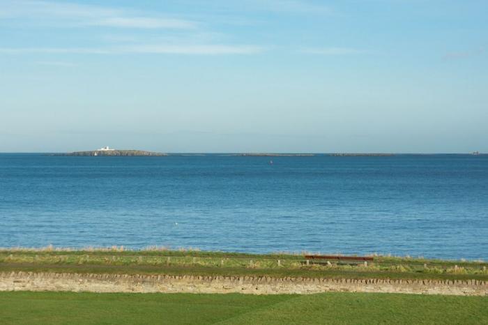 Glenavon, Seahouses