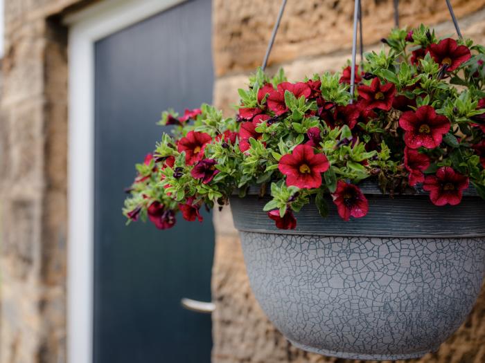 Bilton Farm Cottage No1, Alnmouth