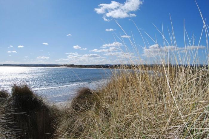 Ashore, Beadnell