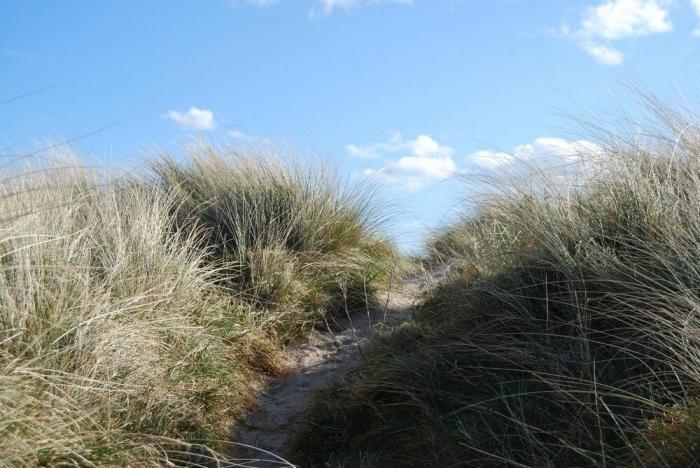 Dunes Cottage, Beadnell