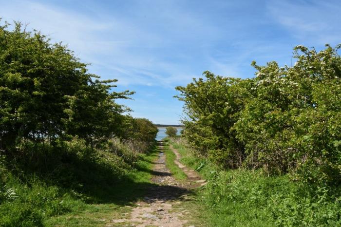 Kittiwake Cottage, Budle Bay, Bamburgh