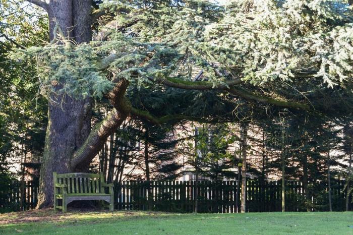 Wellfield Lodge, Alnmouth