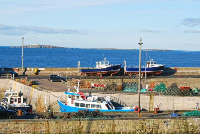 Farne Lookout, Seahouses