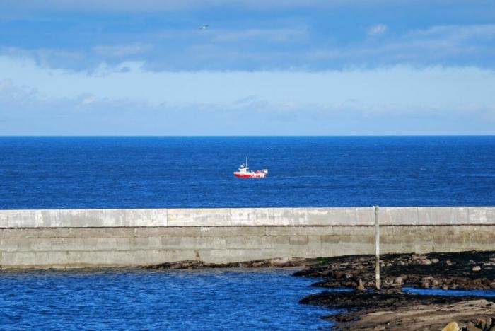 Farne Lookout, Seahouses