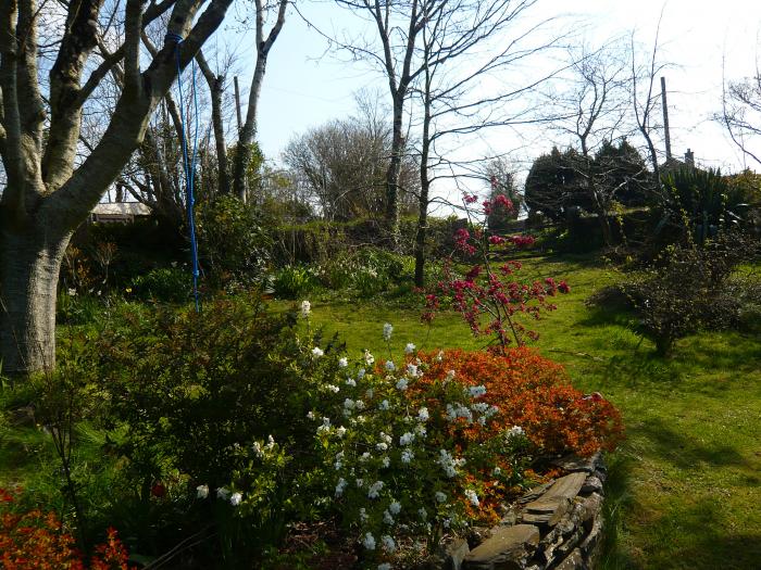 Aaron's Cottage, St Teath