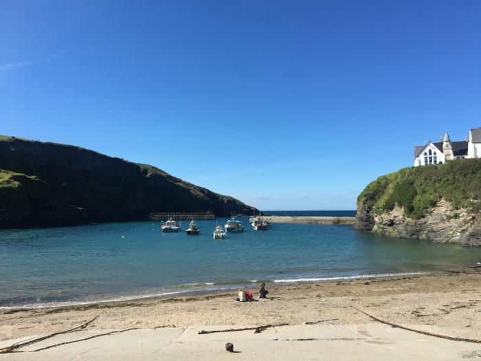 Puffins, Port Isaac