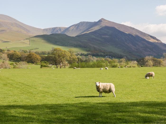 Lakeland View, Keswick