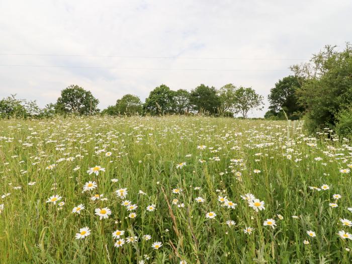 The Brambles, Polstead