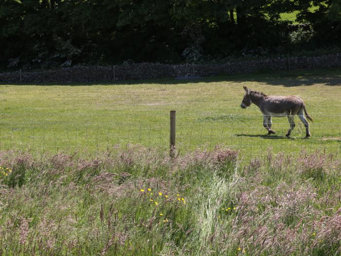 Rowan, Ulverston