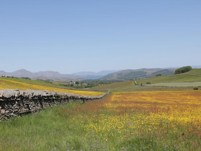 Rowan, Ulverston