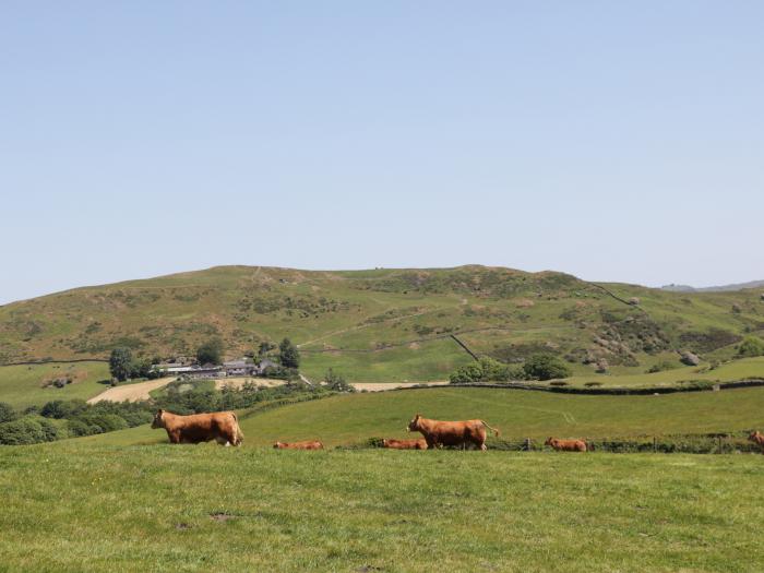 Cherry, Ulverston