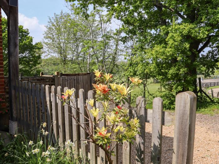 Six Acres House near Peasmarsh, East Sussex. Three-bedroom cottage with pet-friendly garden. In AONB