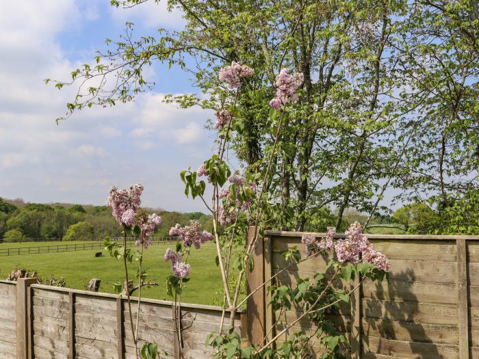 Six Acres House near Peasmarsh, East Sussex. Three-bedroom cottage with pet-friendly garden. In AONB