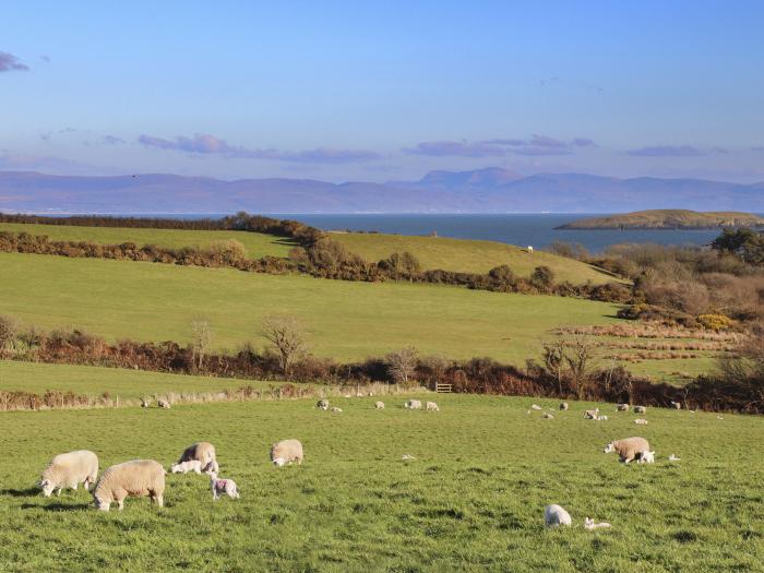 Cowshed in Abersoch, Gwynedd. One bedroom sleeping two guests. Enclosed garden, one pet, near beach.