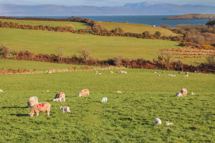 Cottage in Cilan near Abersoch, Gwynedd sleeps four guests in two bedrooms. Pet-friendly with garden