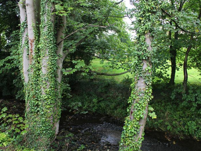 Badgers Sett, Belford