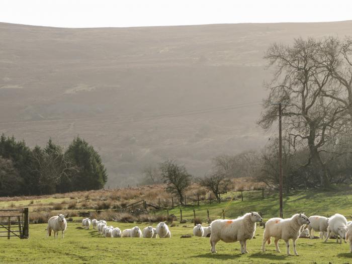 Pen-Croeslan Bach, Crickhowell