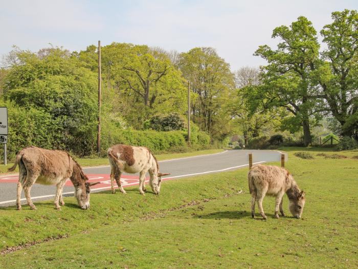 Gwydn Lodge, Downton, Hampshire