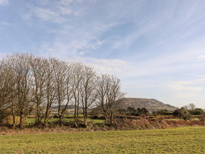 Gwynant, Morfa Nefyn