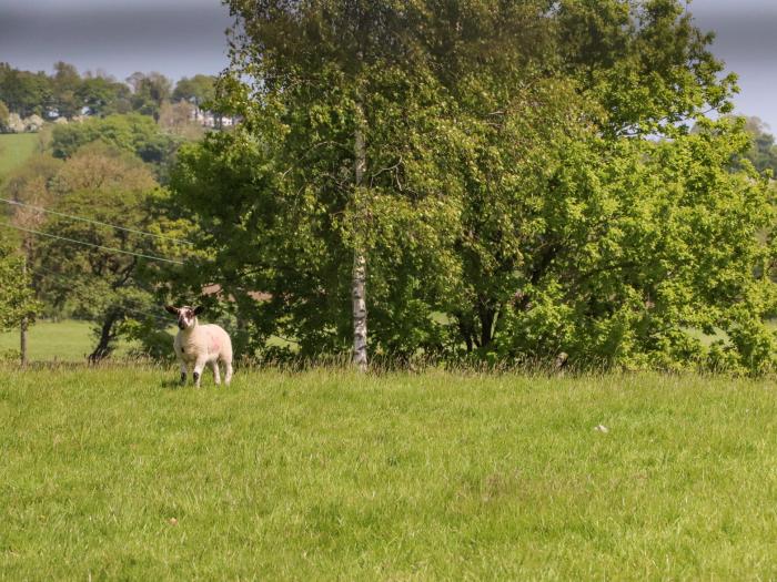 Skirden View, Chatburn