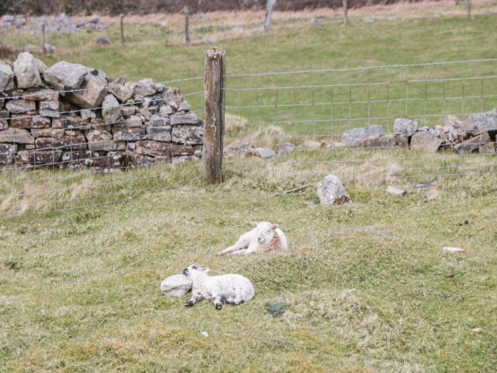 Aqueduct Cottage in Llanover, Monmouthshire. Pet-friendly. Enclosed garden. Woodburning stove. WiFi.