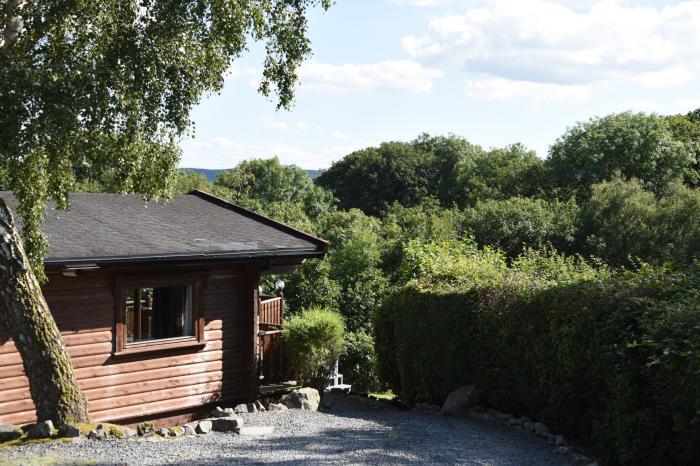 Tawny Owl Lodge, Rhayader