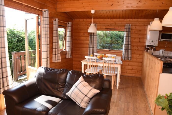 Tawny Owl Lodge, Rhayader