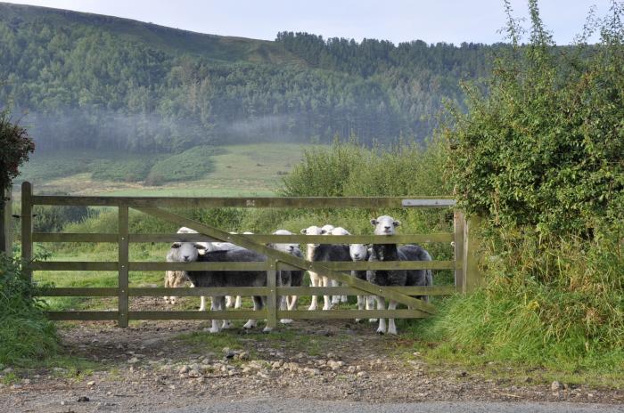 Sheep Cote in Chop Gate near Stokesley, North Yorkshire. Ideal for couples. Stunning rural location.