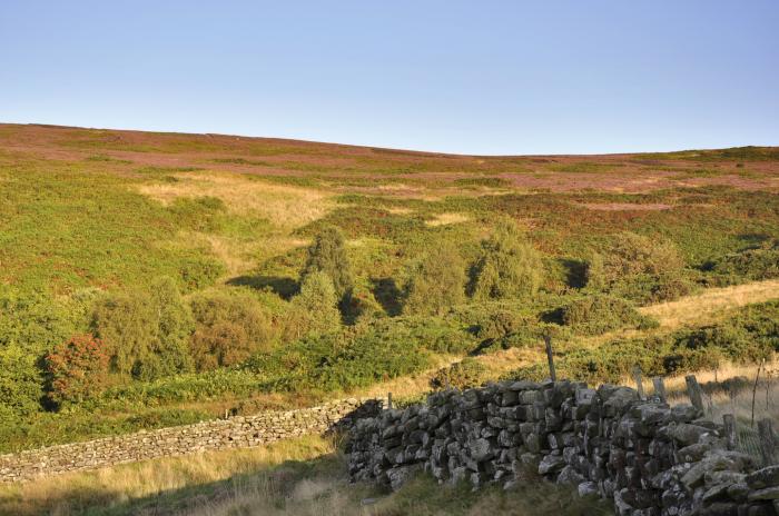 Sheep Cote in Chop Gate near Stokesley, North Yorkshire. Ideal for couples. Stunning rural location.