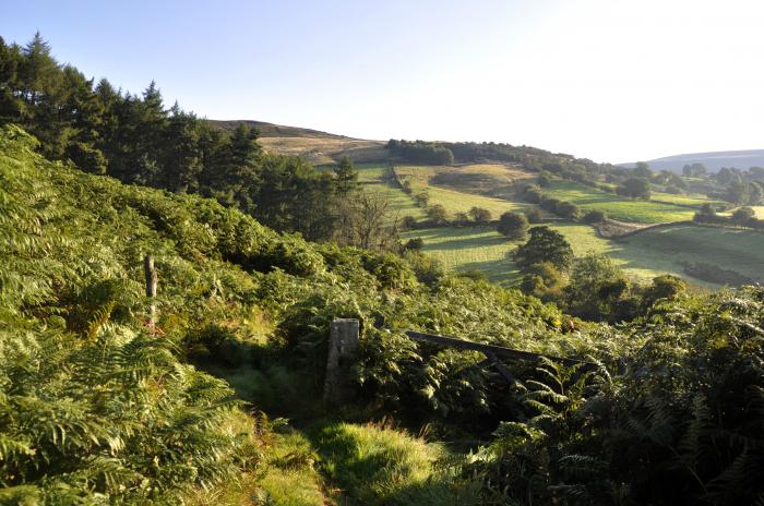 Sheep Cote in Chop Gate near Stokesley, North Yorkshire. Ideal for couples. Stunning rural location.