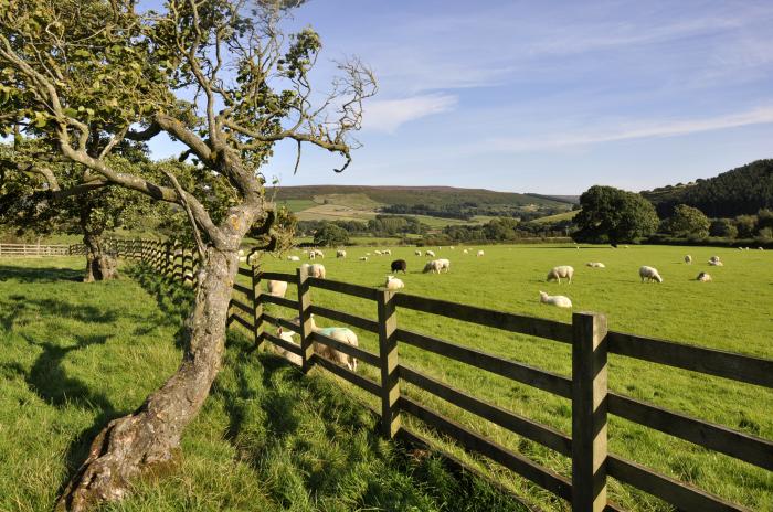 Sheep Cote in Chop Gate near Stokesley, North Yorkshire. Ideal for couples. Stunning rural location.