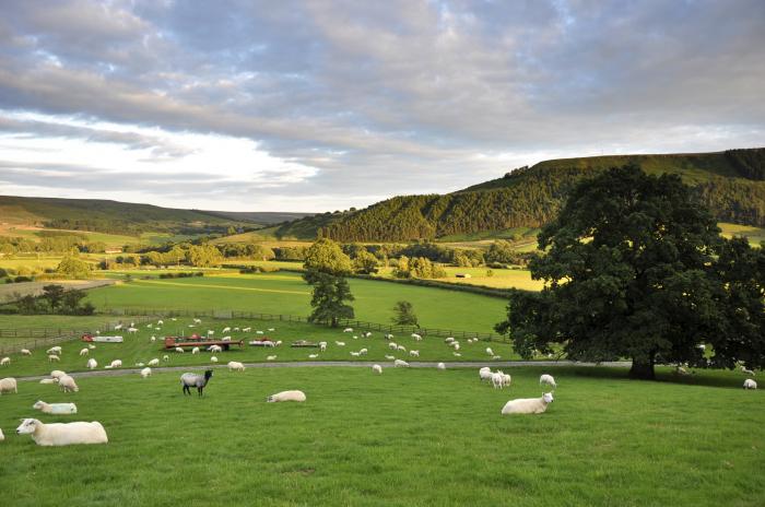 Sheep Cote in Chop Gate near Stokesley, North Yorkshire. Ideal for couples. Stunning rural location.