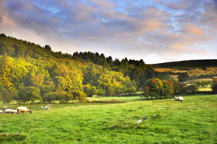 Sheep Cote in Chop Gate near Stokesley, North Yorkshire. Ideal for couples. Stunning rural location.