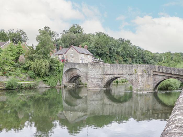 Kingfisher, Ludlow