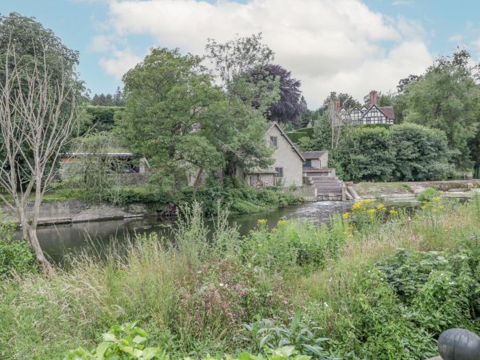 Kingfisher, Ludlow