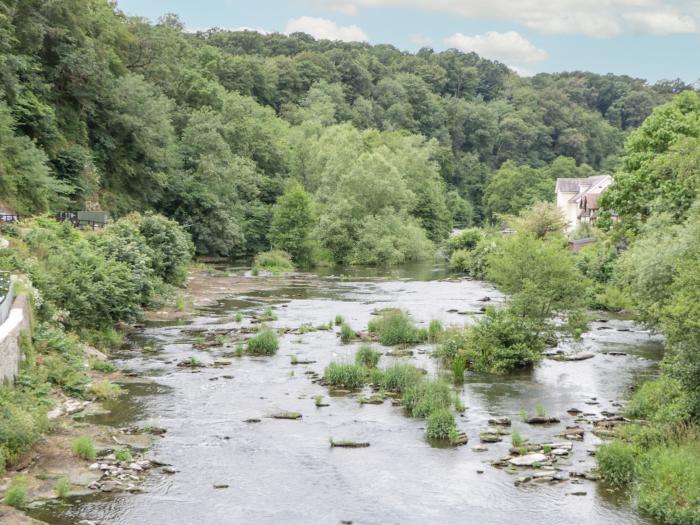 Kingfisher, Ludlow