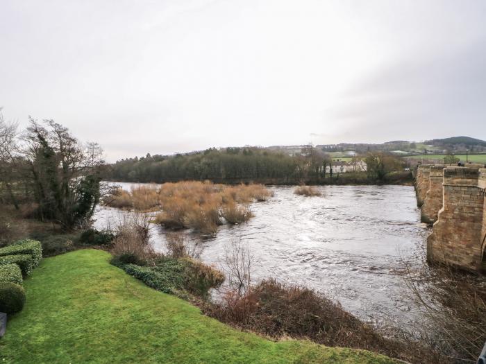 Willows, Corbridge