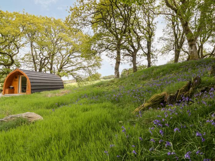 Conwy Pod, Capel Garmon near Betws-Y-Coed, Conwy, North Wales, In Eryri National Park, Studio-style.