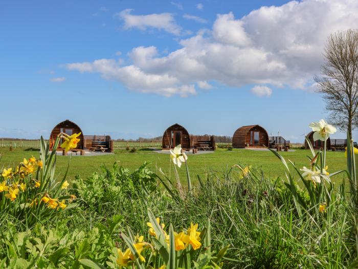 Mischief near Bridlington, Yorkshire, studio-style, romantic, countryside views barbecue sleeps four