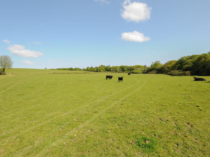 Mill House, in Lostwithiel near Pelynt, Cornwall, off-road parking, pet-friendly, on a working farm.