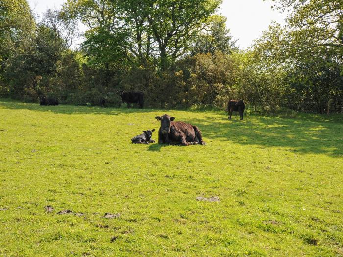 Mill House, in Lostwithiel near Pelynt, Cornwall, off-road parking, pet-friendly, on a working farm.